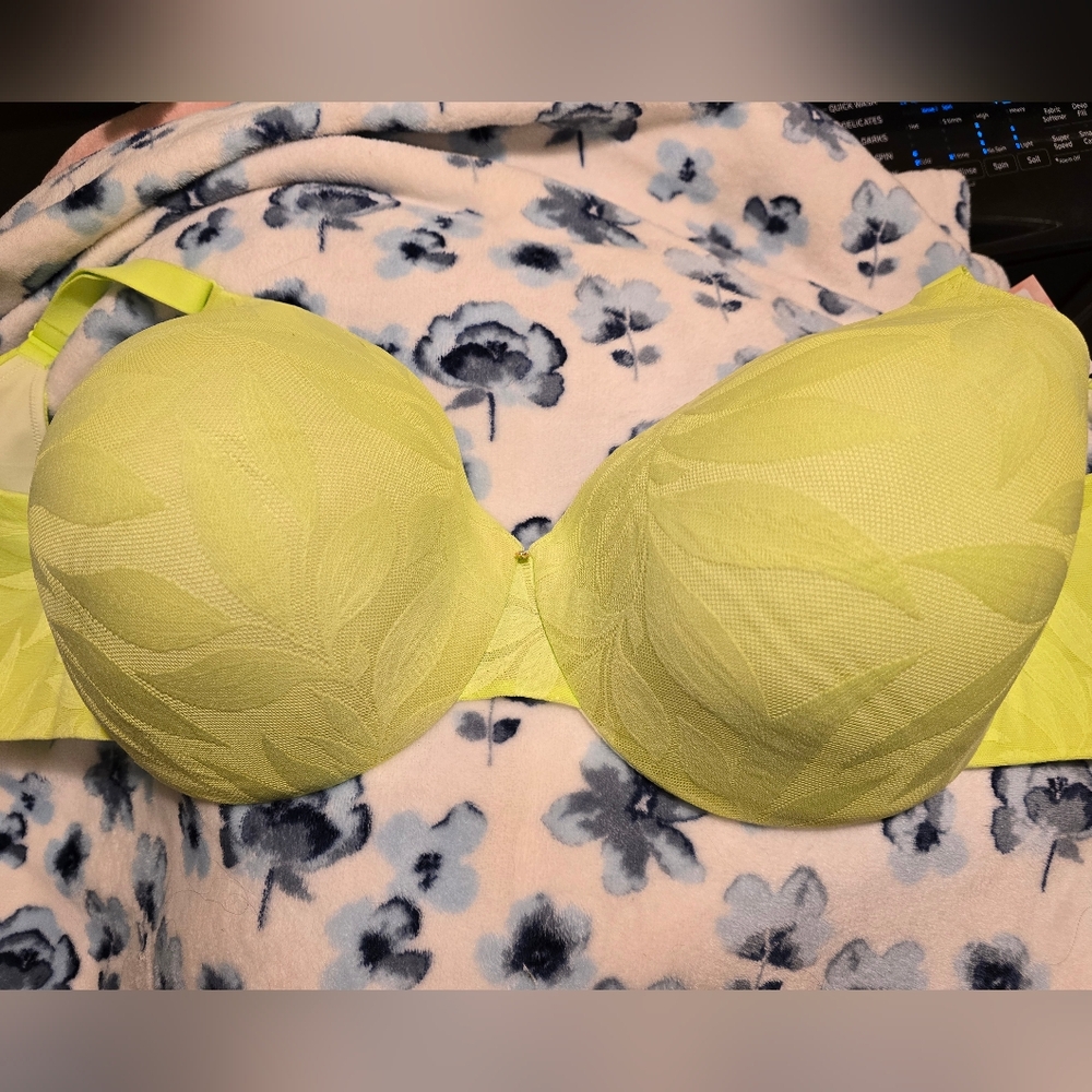 Lane Bryant Bra 42F